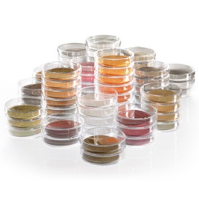 Ԥ��������������ϣ�NPS��